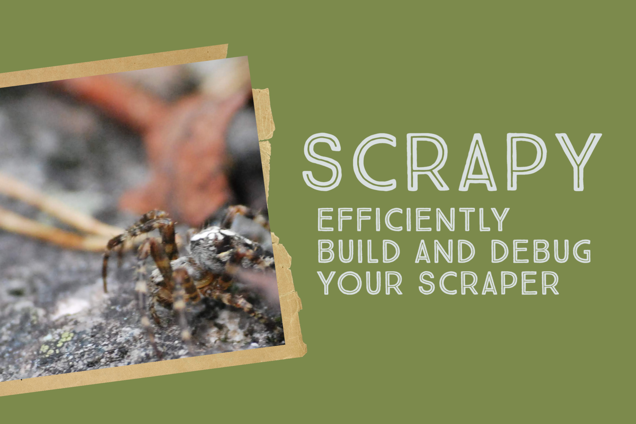 save-time-debugging-scrapy-with-shell